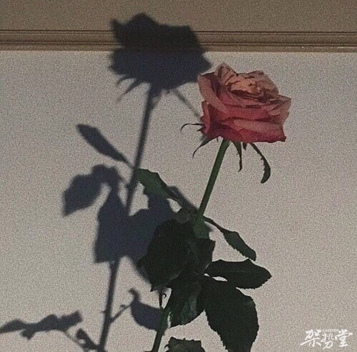 不听几首民谣,好意思说自己是文艺青年吗