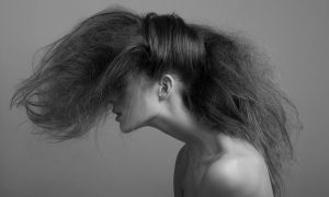 cdc91af452a83664bae39dd1d23dc54f