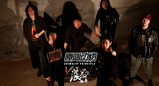 原则动物乐队,作品《启示录》- 中国摇滚纪录+浪花计划|独立乐队推荐