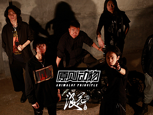 原则动物乐队,作品《启示录》- 中国摇滚纪录+浪花计划|独立乐队推荐