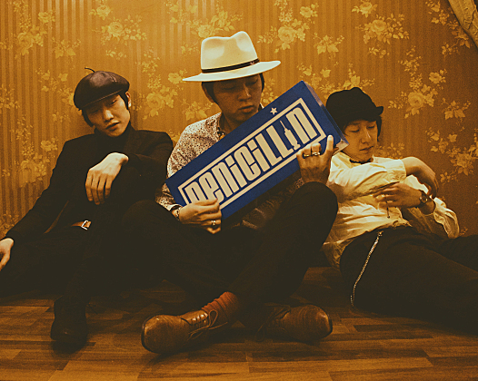 盘尼西林高清壁纸素材