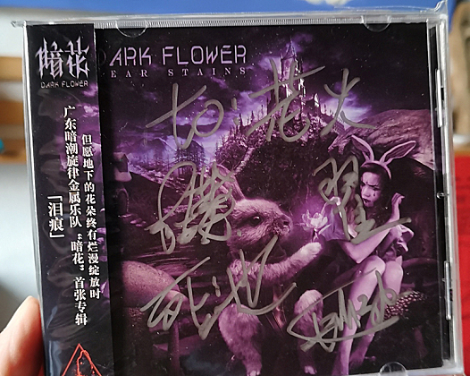 泪痕之上，“暗花”绽放！——暗花乐队专辑《泪痕》推荐