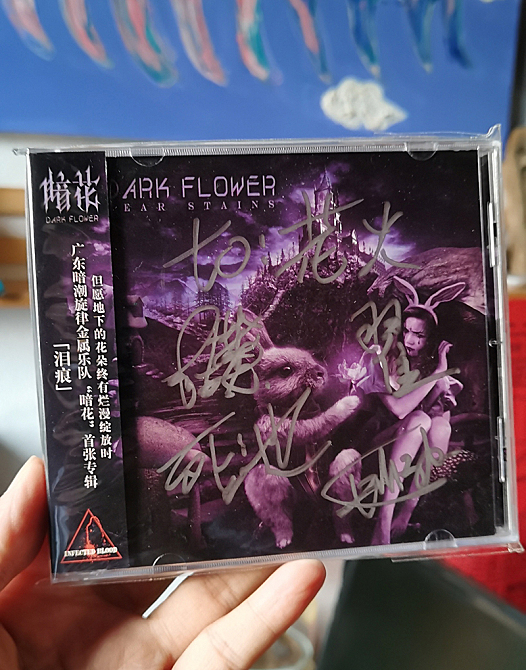 泪痕之上，“暗花”绽放！——暗花乐队专辑《泪痕》推荐