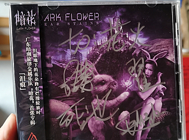 泪痕之上,“暗花”绽放!——暗花乐队专辑《泪痕》推荐